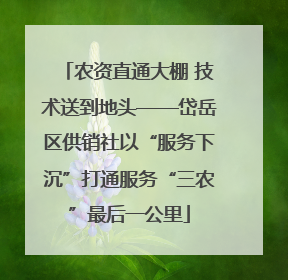 农资直通大棚 技术送到地头——岱岳区供销社以“服务下沉”打通服务“三农”最后一公里