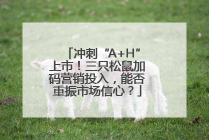 冲刺“A+H”上市！三只松鼠加码营销投入，能否重振市场信心？