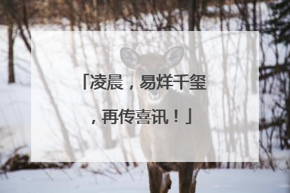 凌晨，易烊千玺，再传喜讯！