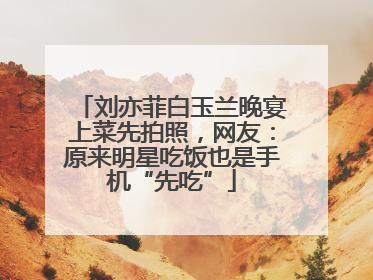 刘亦菲白玉兰晚宴上菜先拍照，网友：原来明星吃饭也是手机“先吃”