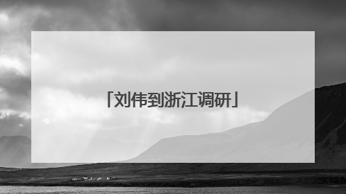 刘伟到浙江调研