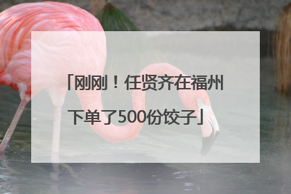 刚刚！任贤齐在福州下单了500份饺子