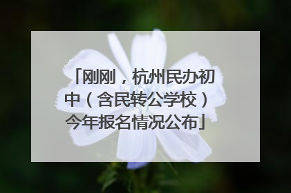 刚刚，杭州民办初中（含民转公学校）今年报名情况公布