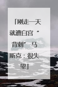 刚走一天就遭白宫“背刺” 马斯克：很失望