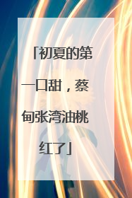初夏的第一口甜，蔡甸张湾油桃红了