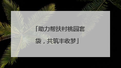 助力帮扶村桃园套袋，共筑丰收梦