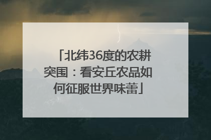 北纬36度的农耕突围：看安丘农品如何征服世界味蕾