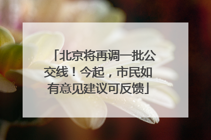 北京将再调一批公交线！今起，市民如有意见建议可反馈