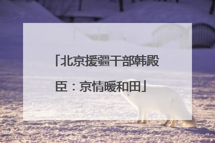 北京援疆干部韩殿臣：京情暖和田