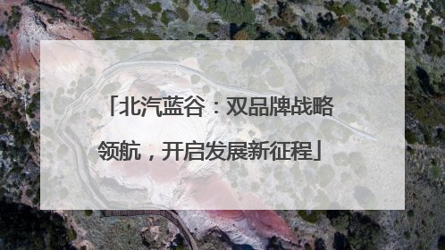 北汽蓝谷：双品牌战略领航，开启发展新征程