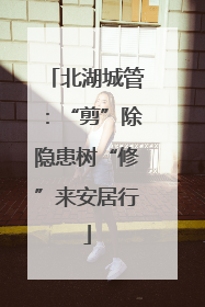 北湖城管：“剪”除隐患树“修”来安居行