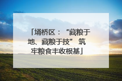 埇桥区：“藏粮于地、藏粮于技” 筑牢粮食丰收根基