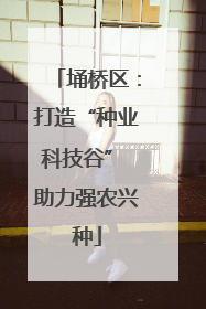 埇桥区：打造“种业科技谷” 助力强农兴种