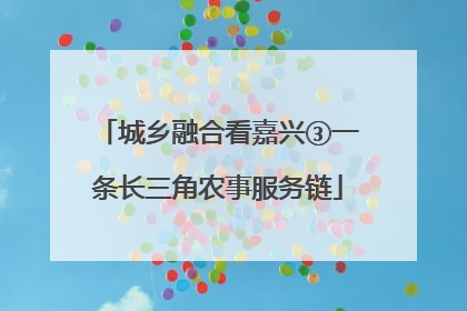 城乡融合看嘉兴③一条长三角农事服务链