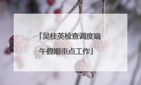 吴桂英检查调度端午假期重点工作