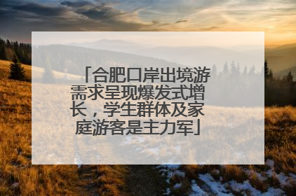 合肥口岸出境游需求呈现爆发式增长，学生群体及家庭游客是主力军