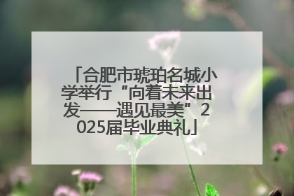 合肥市琥珀名城小学举行“向着未来出发——遇见最美”2025届毕业典礼