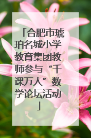 合肥市琥珀名城小学教育集团教师参与“千课万人”数学论坛活动