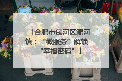 合肥市包河区淝河镇：“微服务”解锁“幸福密码”