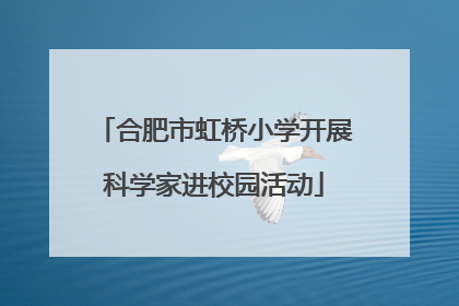 合肥市虹桥小学开展科学家进校园活动