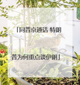 同普京通话 特朗普为何重点谈伊朗