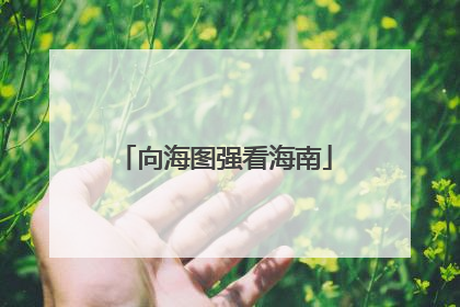 向海图强看海南