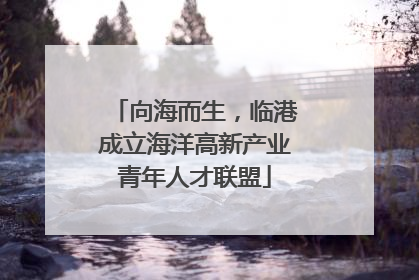 向海而生，临港成立海洋高新产业青年人才联盟