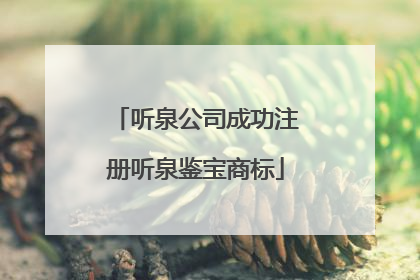 听泉公司成功注册听泉鉴宝商标