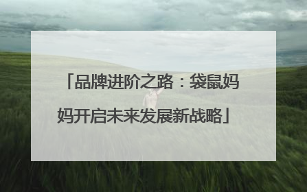 品牌进阶之路：袋鼠妈妈开启未来发展新战略