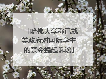 哈佛大学称已就美政府对国际学生的禁令提起诉讼