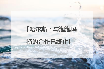 哈尔斯：与泡泡玛特的合作已终止