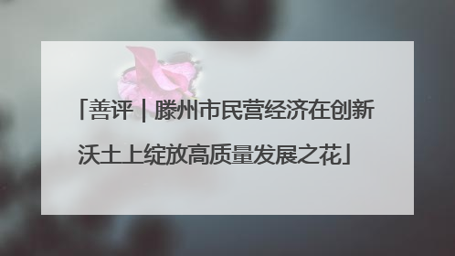 善评｜滕州市民营经济在创新沃土上绽放高质量发展之花