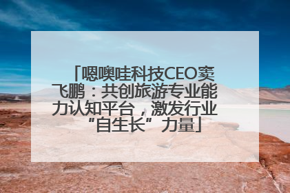 嗯噢哇科技CEO窦飞鹏：共创旅游专业能力认知平台，激发行业“自生长”力量