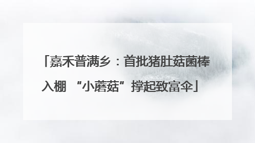 嘉禾普满乡：首批猪肚菇菌棒入棚 “小蘑菇”撑起致富伞