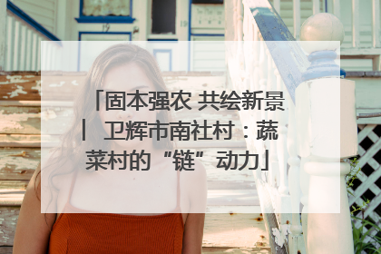 固本强农 共绘新景 ︳卫辉市南社村：蔬菜村的“链”动力