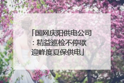 国网庆阳供电公司：精益巡检不停歇 迎峰度夏保供电