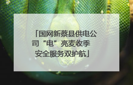 国网新蔡县供电公司“电”亮麦收季 安全服务双护航