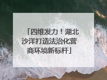 四维发力！湖北沙洋打造法治化营商环境新标杆