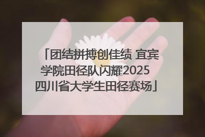 团结拼搏创佳绩 宜宾学院田径队闪耀2025四川省大学生田径赛场