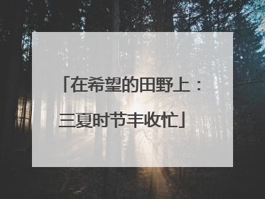 在希望的田野上：三夏时节丰收忙