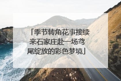 季节转角花事接续 来石家庄赴一场鸢尾绽放的彩色梦境
