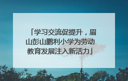 学习交流促提升，眉山彭山鹏利小学为劳动教育发展注入新活力