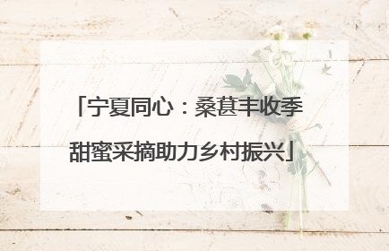 宁夏同心：桑葚丰收季 甜蜜采摘助力乡村振兴