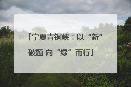宁夏青铜峡：以“新”破题 向“绿”而行