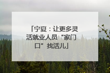 宁夏：让更多灵活就业人员“家门口”找活儿