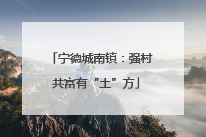 宁德城南镇：强村共富有“土”方