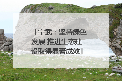 宁武：坚持绿色发展 推进生态建设取得显著成效