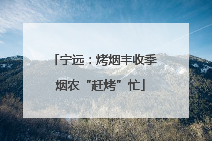 宁远：烤烟丰收季 烟农“赶烤”忙