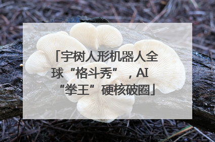 宇树人形机器人全球“格斗秀”，AI“拳王”硬核破圈