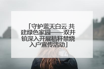 守护蓝天白云 共建绿色家园——双井镇深入开展秸秆禁烧入户宣传活动
